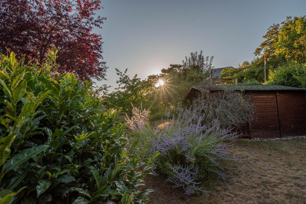 Ferienhaus Bis 10 Personen Und 2,5 Schlafzimmern Geisenheim Exteriör bild